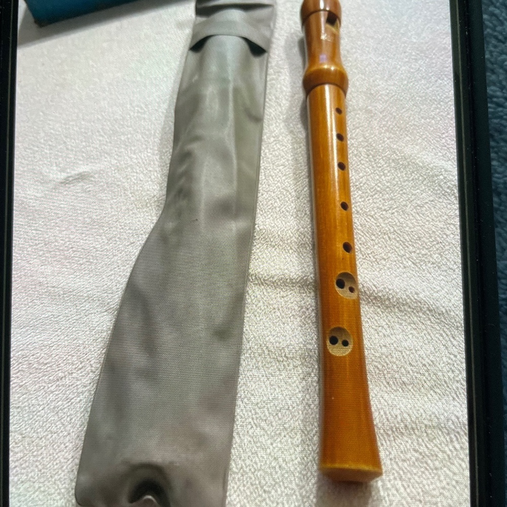 Vintage wooden Flute with case.